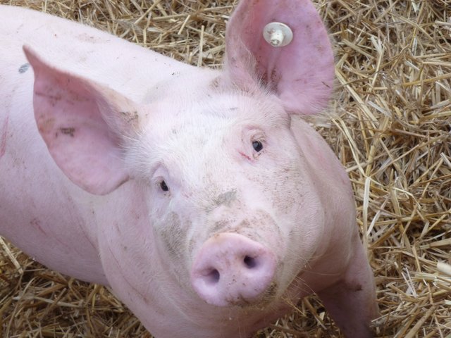 Na, Du! | Foto: Marita Gerwin