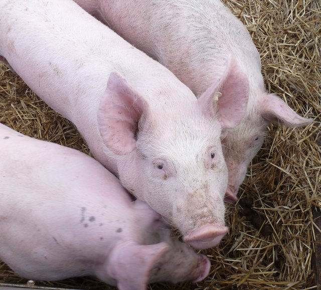 Wer ist denn jetzt dran? | Foto: Marita Gerwin