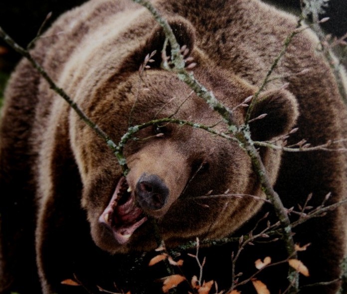 Foto: Repro Zoo Duisburg