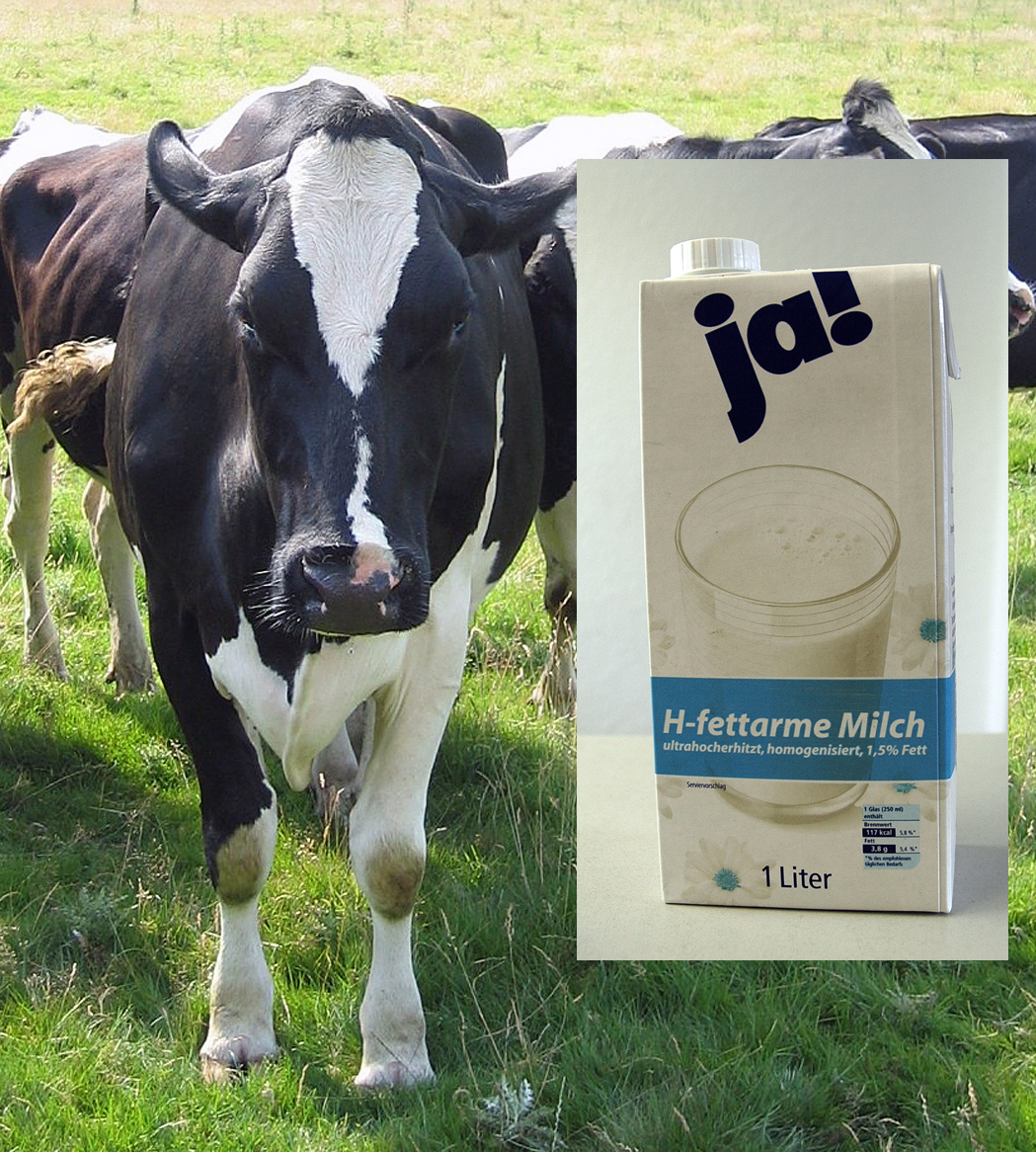 Die Milch machts - Immer wieder ein Streitthema. Foto: Jungvogel
