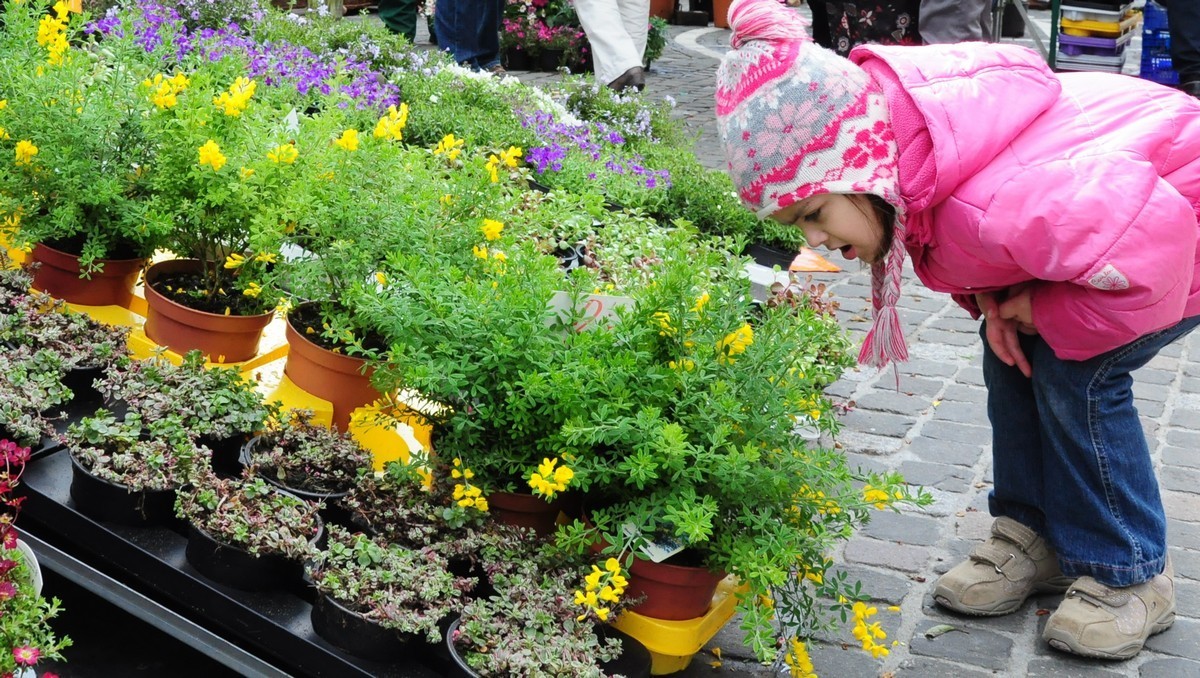 Sarah (4 1/2 Jahre): Duftet so der Frühling ?
