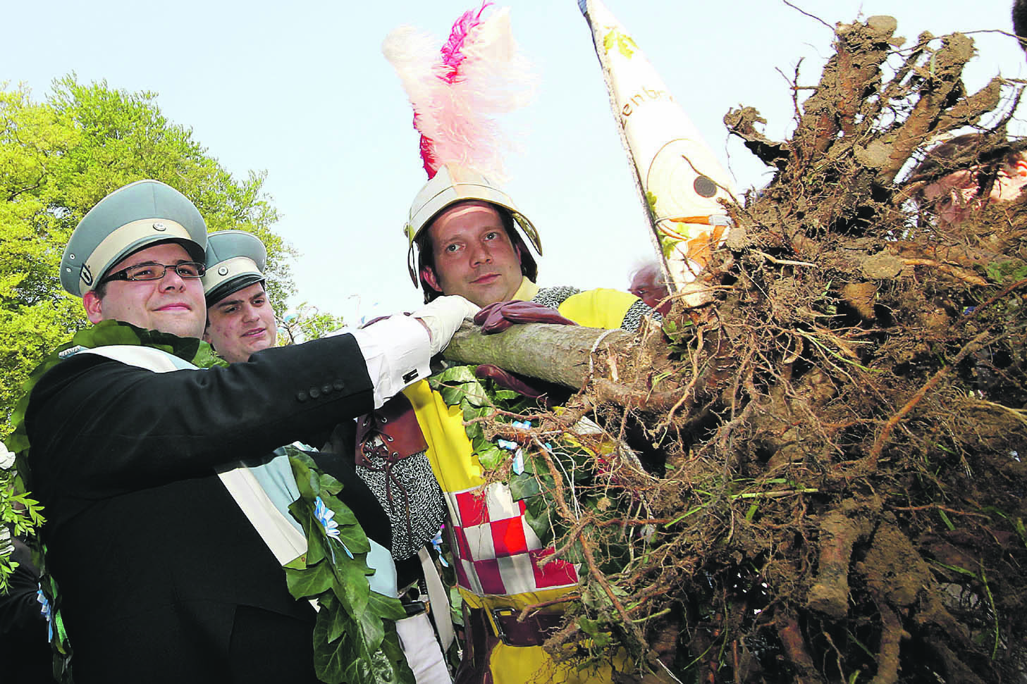 Die Junggeselleneiche ist dem Harpener Boden entrissen. Foto: Molatta