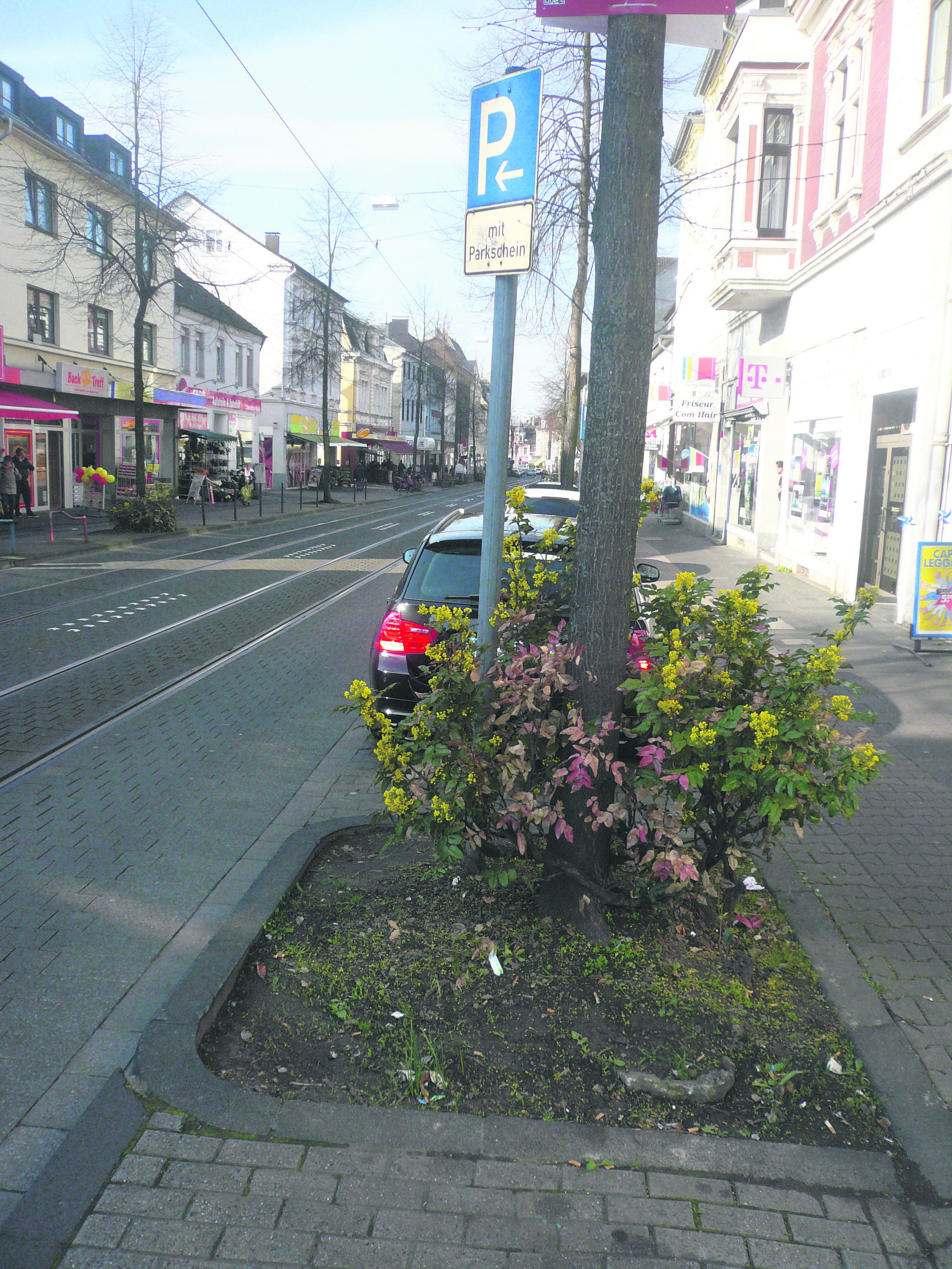 Vor der Kirmes und dem verkaufsoffenen Sonntag am 5. Mai in Linden sollen die rund 60 Baumscheiben im Geschäftszentrum aufgehübscht werden. Dazu gibt es am Samstag eine Säuberungsaktion.