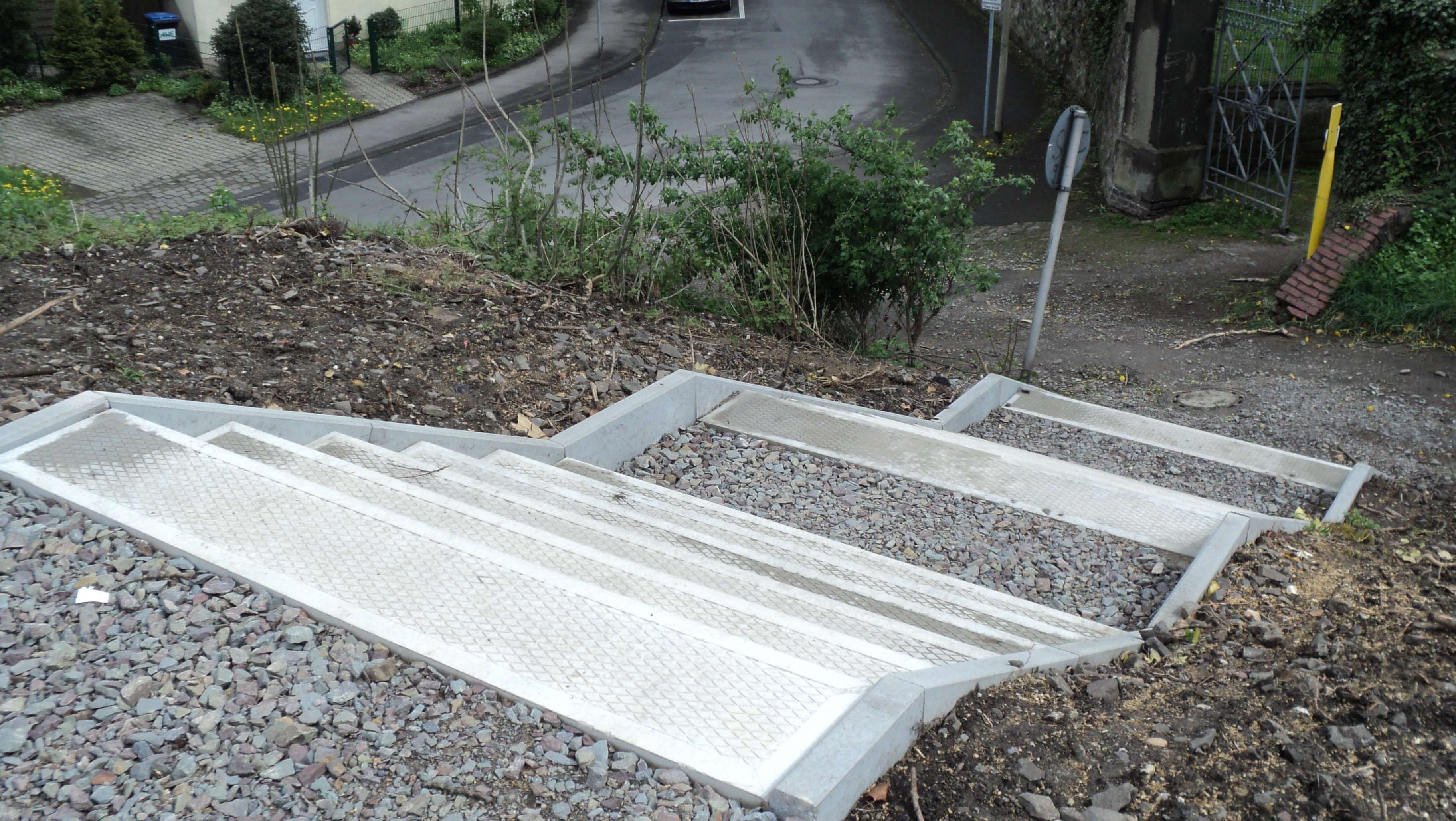 Ledderken, Rheinischer Esel, am 28.04.2012