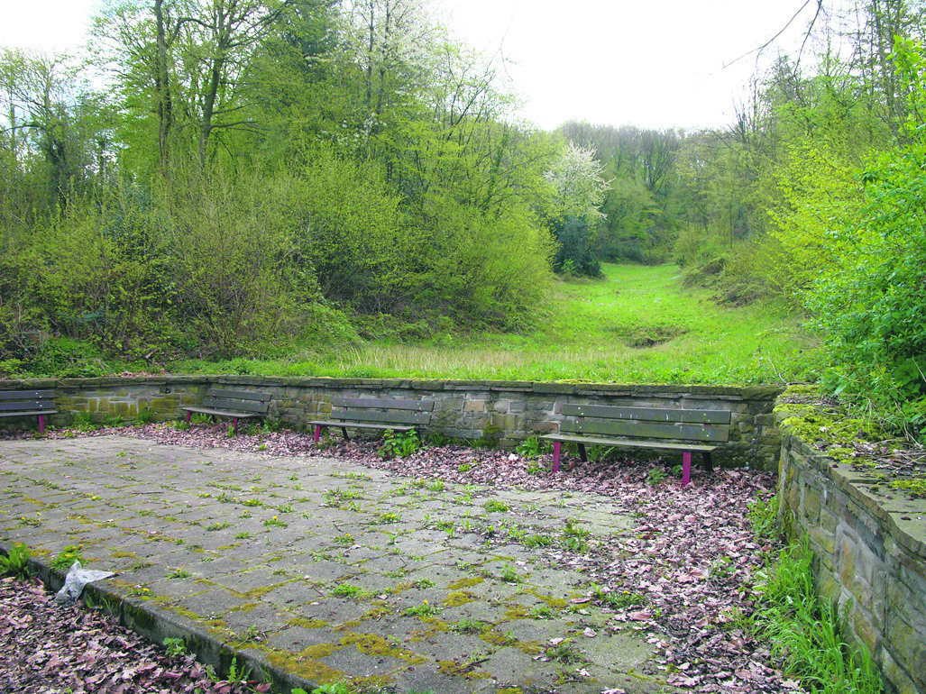 Zusammen mit Bürgern arbeitet die CDU Kupferdreh/Byfang derzeit an einem neuen Nutzungkonzept für den Volkspark am Reulsbergweg.
Foto: CDU Kupferdreh/Byfang