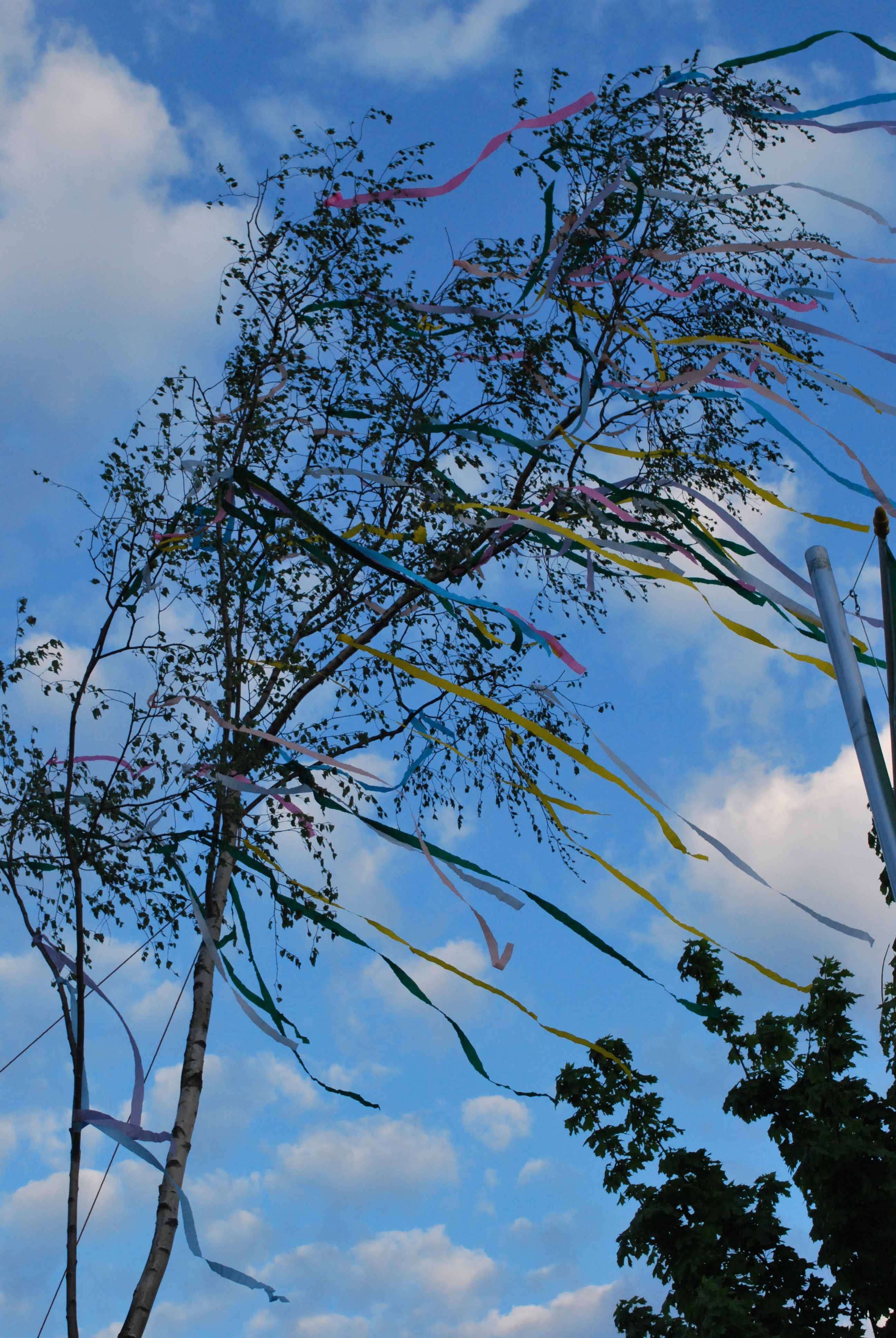 Der Maibaum vor dem Schützenheim