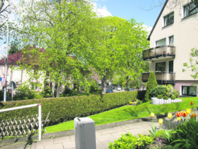 Ebenfalls beim 4. Bürger-Dialog-Gespräch vorgestellt: das Alleen-Konzept der CDU Kupferdreh/Byfang, das zur Steigerung der Wohnqualität beitragen soll. Foto: CDU Kupferdreh/Byfang