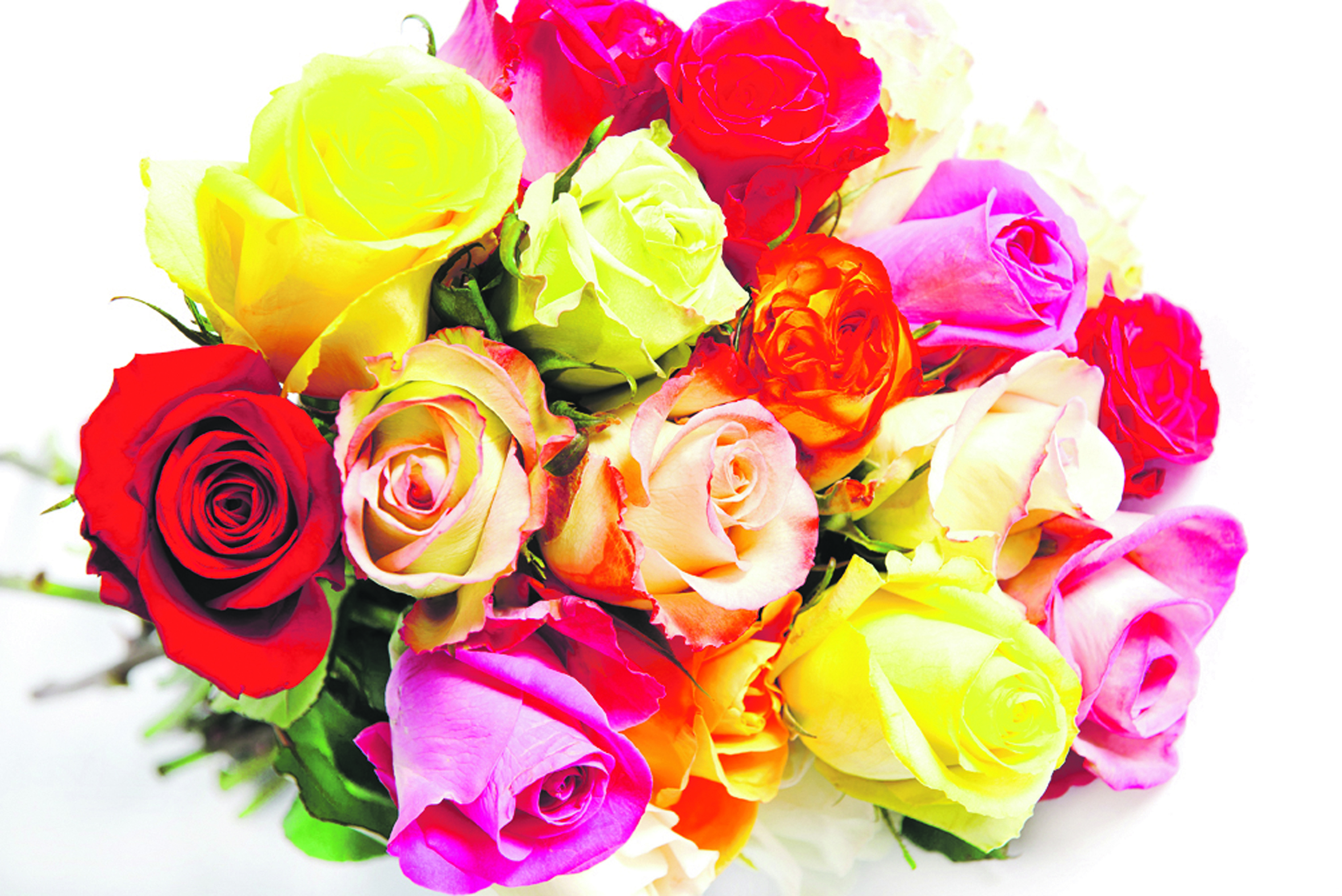 Alles Liebe zum Muttertag! Foto: LiliGraphie/pixelio.de
