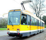 Die Teilstrecke der Linie 104, Hauptfriedhof - Flughafen wird nicht erneuert.