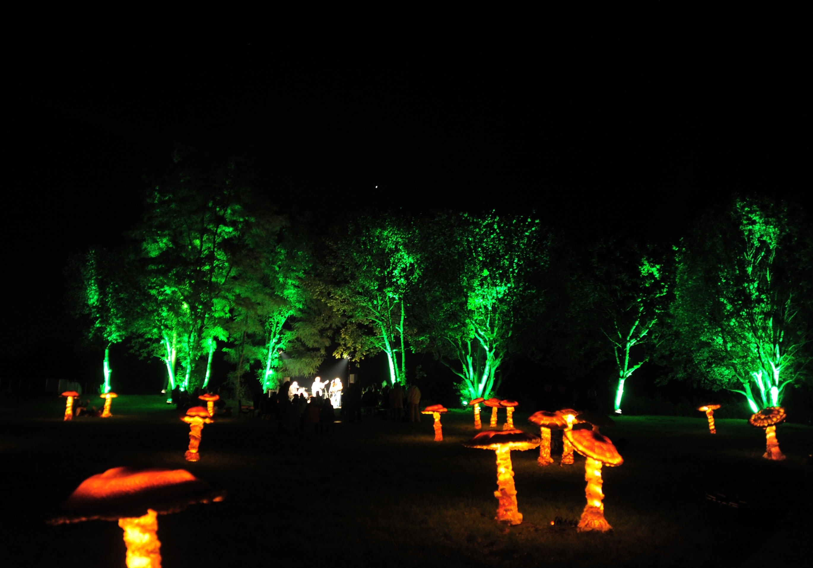 Irre sehen die großen Lichtpilze aus. Foto: Paulitschke