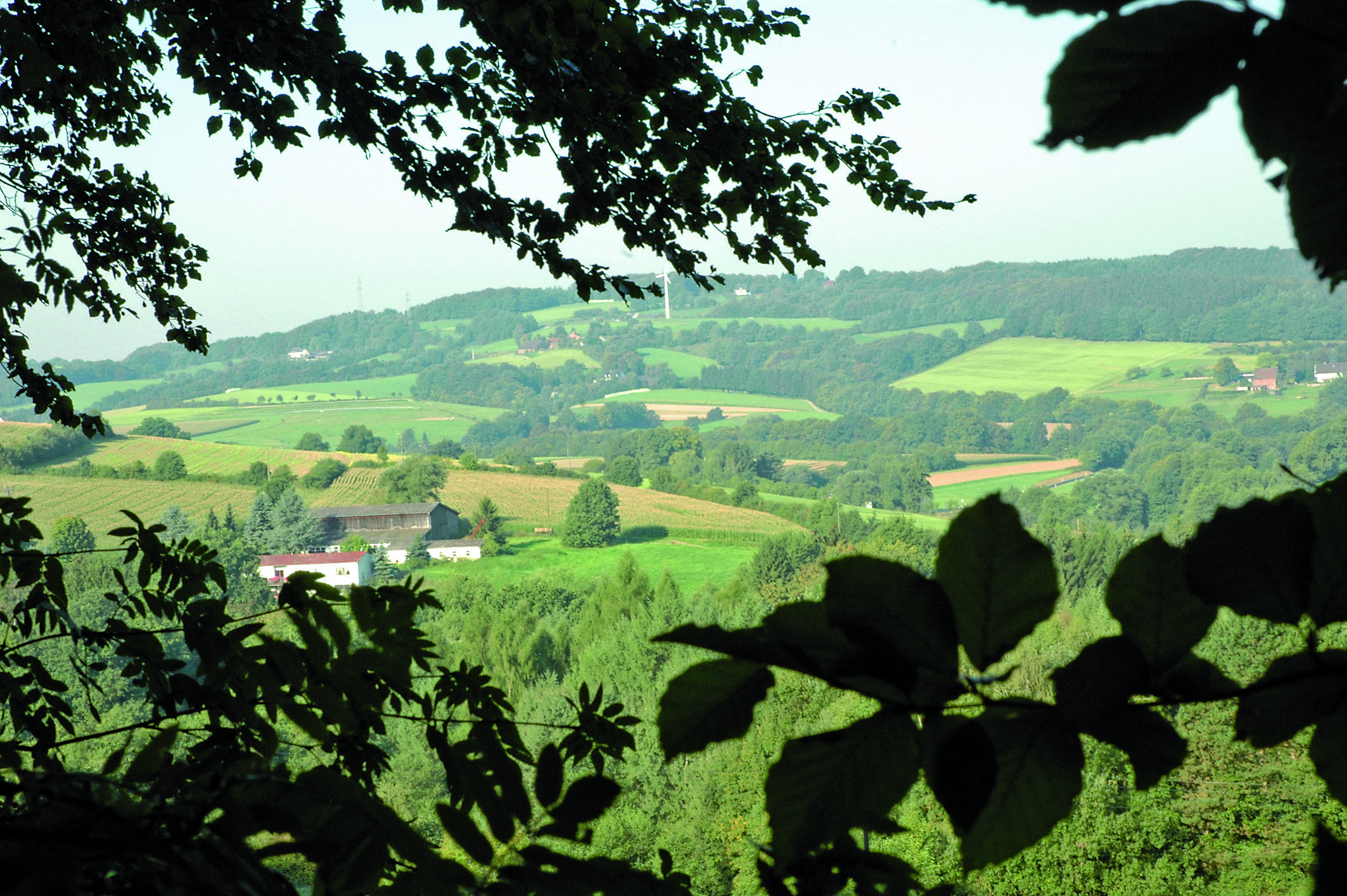 So schön ist es direkt vor der Haustür - hier der Blick ins Deilbachtal.