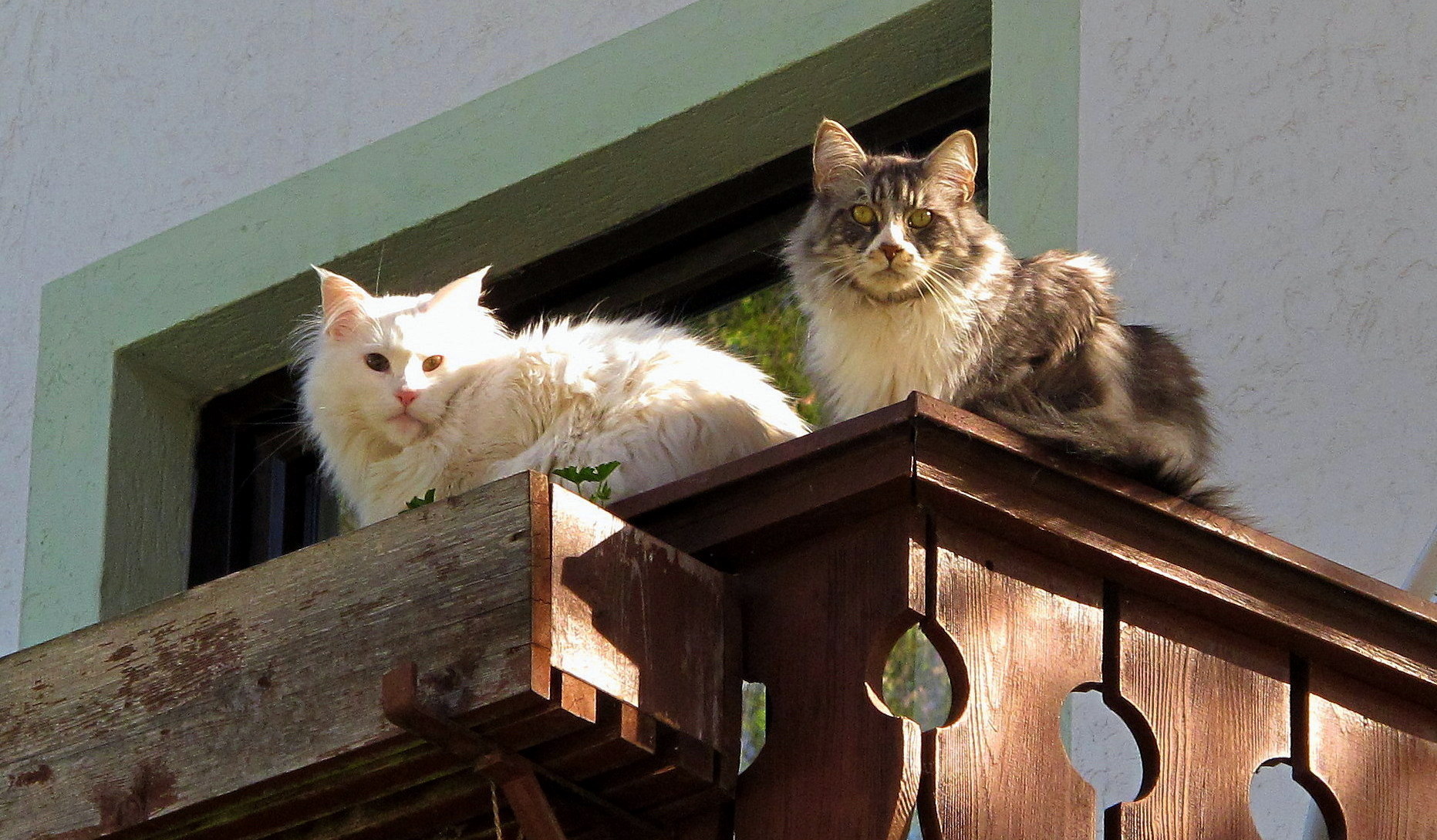 Alles im Blick behalten!