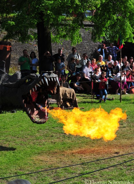 Drache Fangdorn