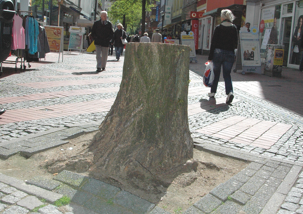 Längst haben die Akazienwurzeln das Pflaster in der „Bochumer“ angehoben. Doch das zuständige Stadtamt reagiert seit über zwei Jahren nicht. Foto: Lew
