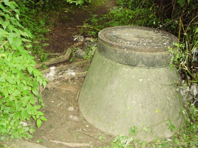 Dieser verstopfte Gulli brachte beim Überlaufen mehr als nur Wasser mit an die Oberfläche.