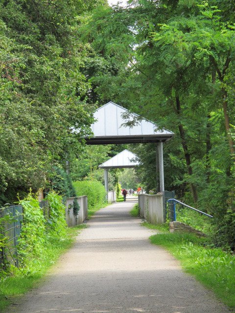 Rheinischer Esel plattgefahren - Radwege in Bochum (2) - Bochum
