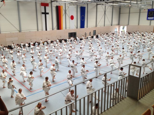 Kata-Training der Schwarzgurte bei Chief-Instructor Shihan Hideo Ochi; Hajime !