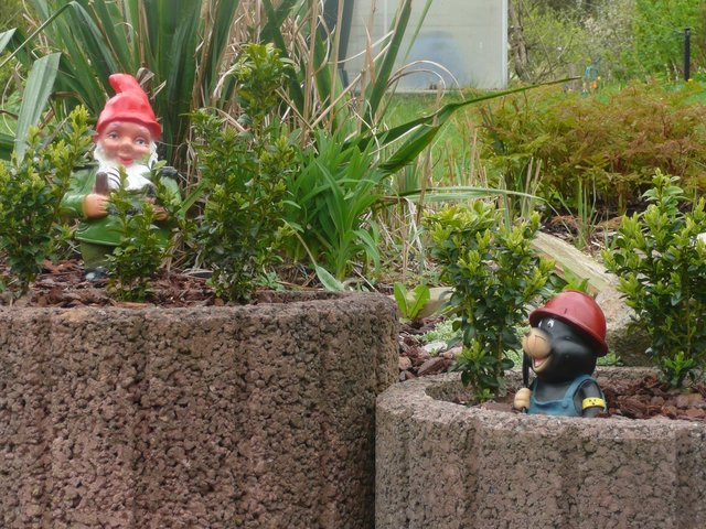 Dieter Fritsch stellte uns ein Foto seines Polizisten-Gartenzwergs neben dem Maulwurf zur Verfügung.