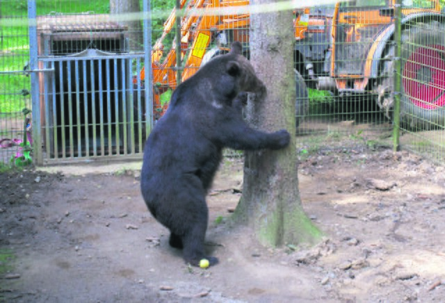 Foto: © Deutscher Tierschutzbund e.V.