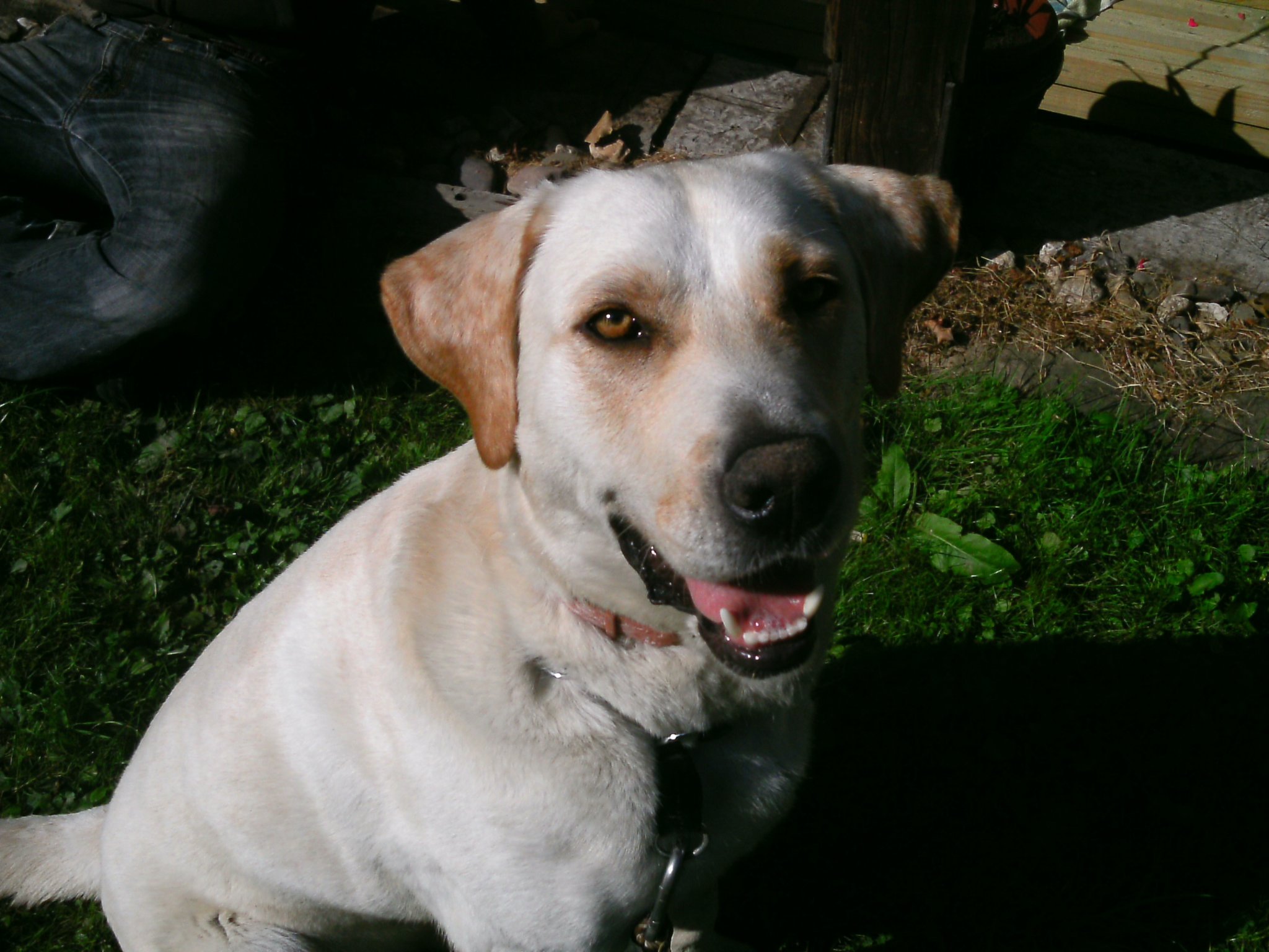 Meine Woche mit Happy Menden (Sauerland)