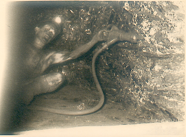 Auf Langenbrahm in Rellinghausen.