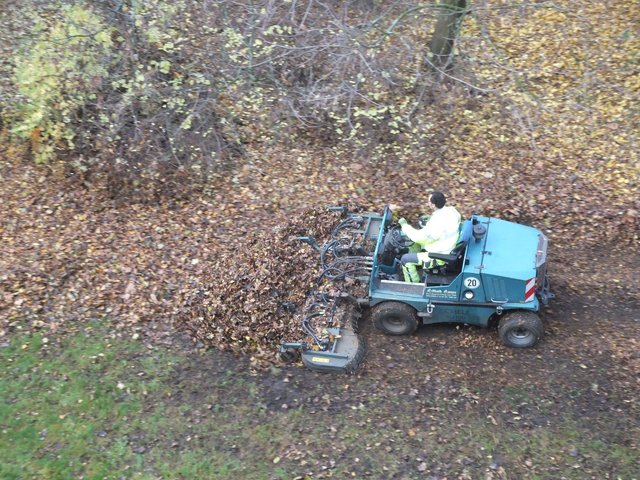 Herbstlaubbeseitigung! - Bochum