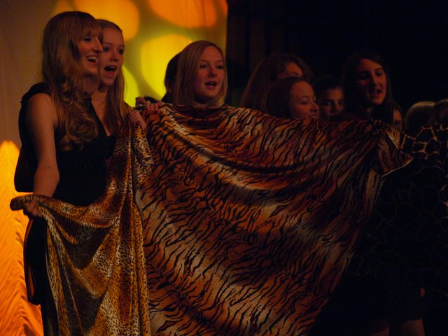 Staccato - König der Löwen