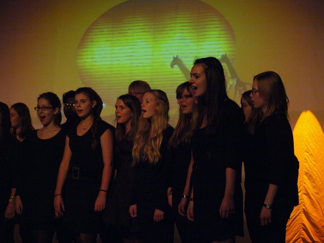 Staccato - König der Löwen