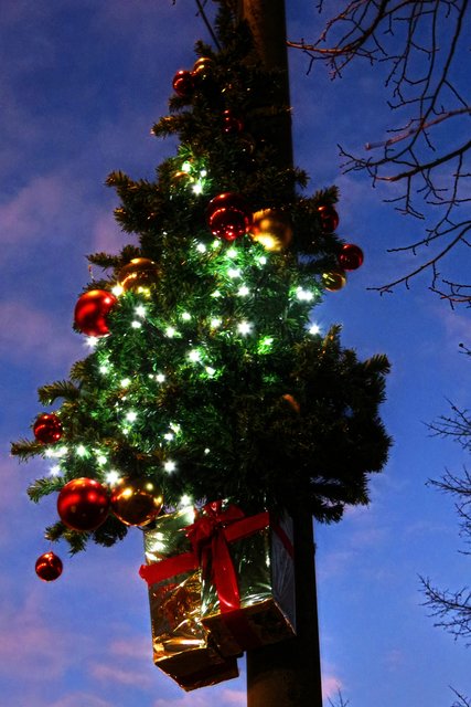 Am Weihnachtsbaume ...