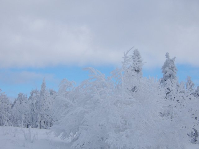 Winter im Erzgebirge(Fichtelberg)