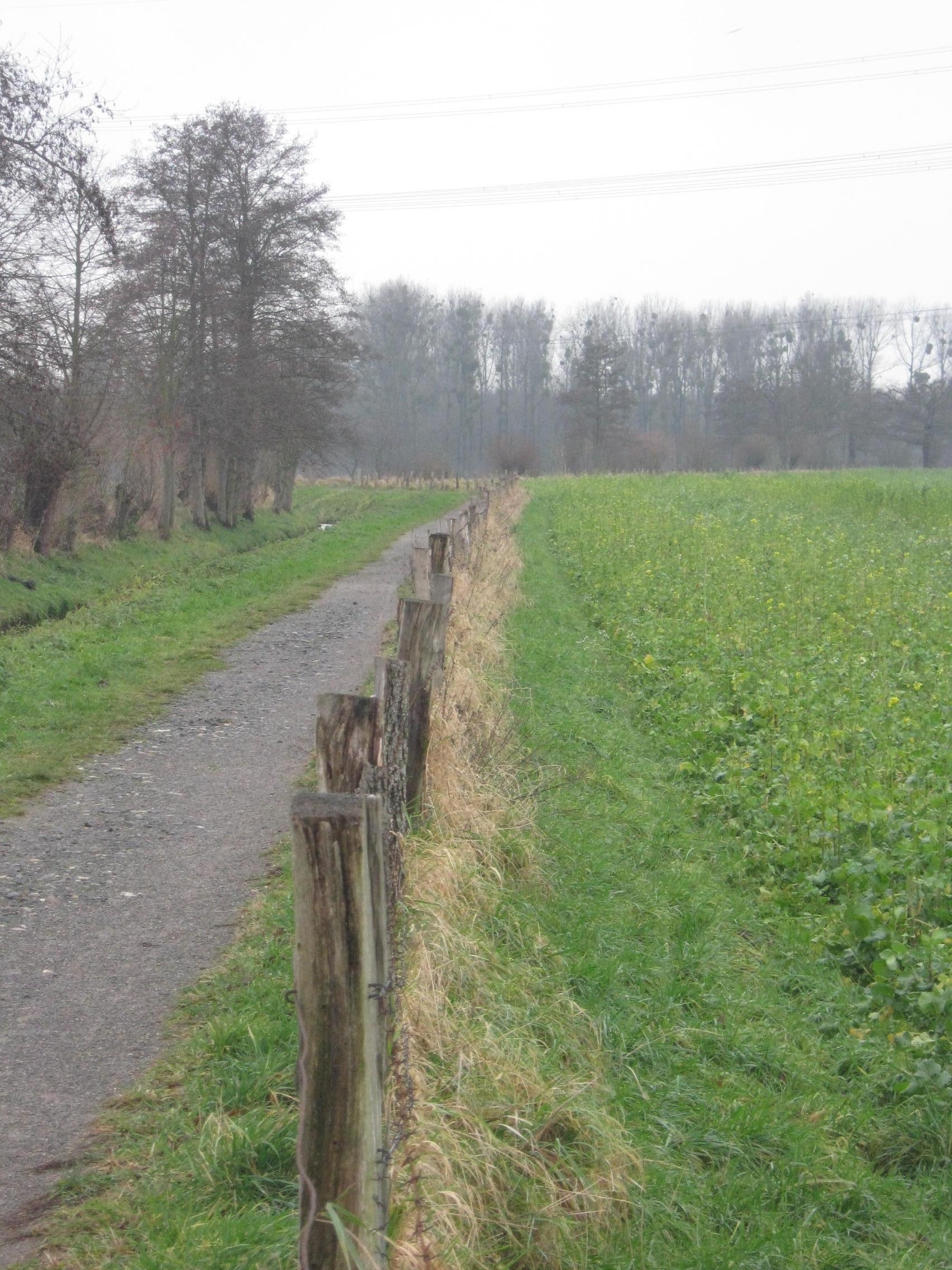 Dezember 2011: Ende oder Anfang