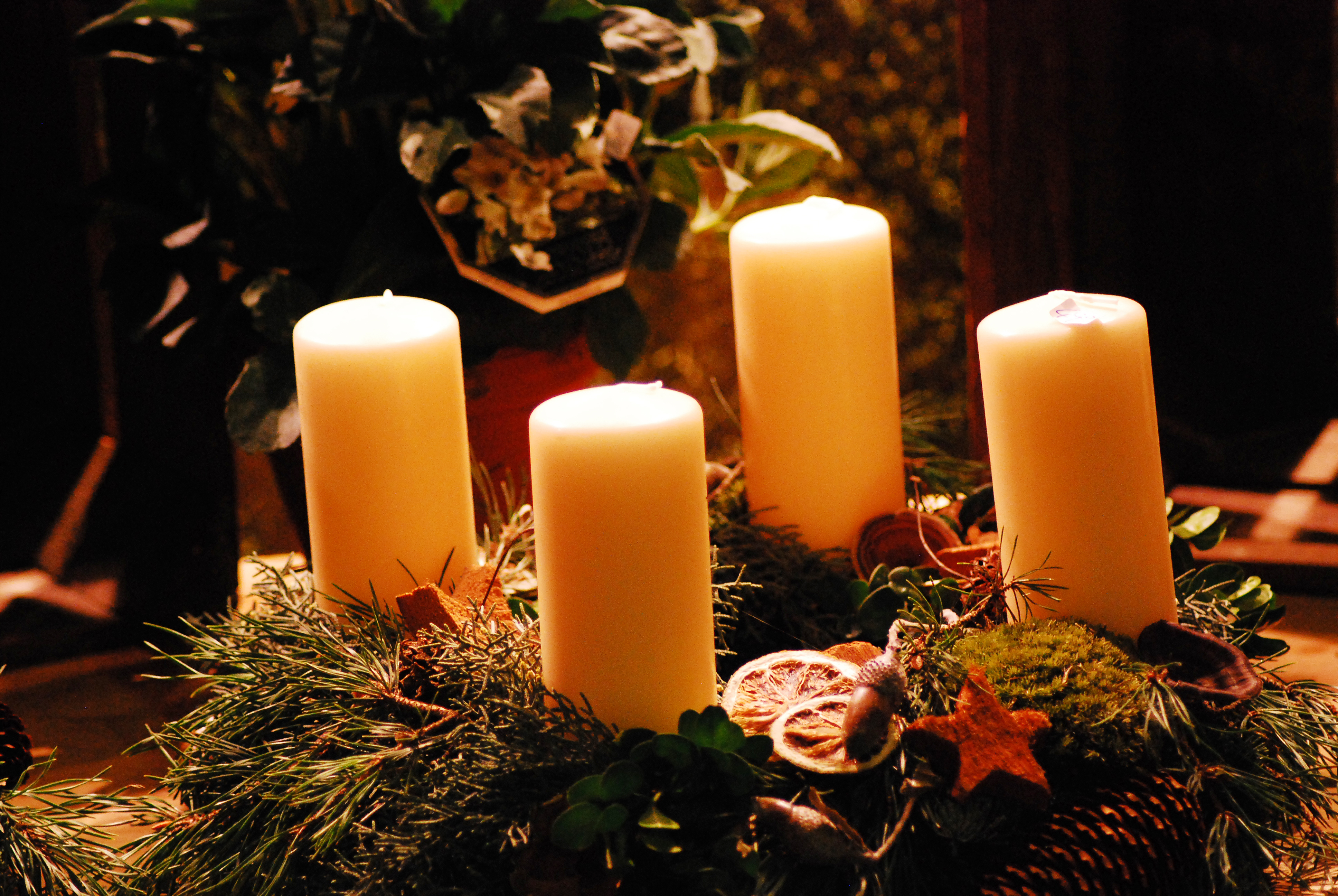 Frohe Weihnachten