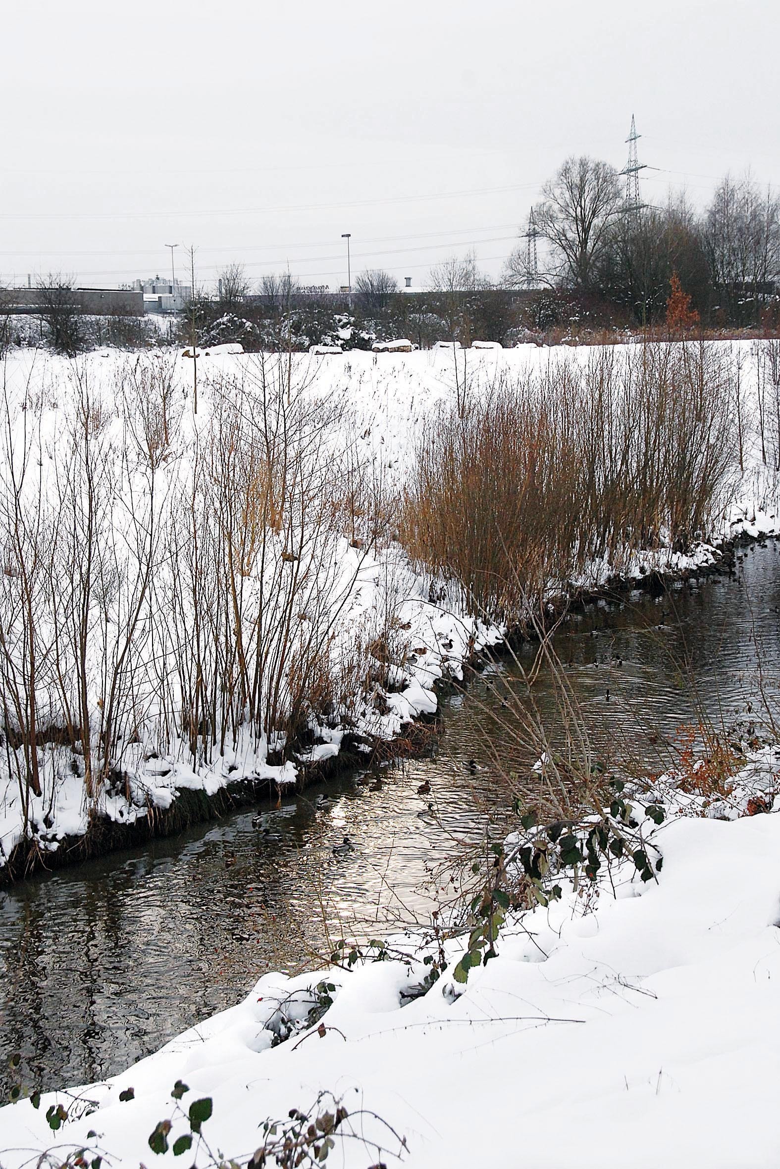 Winter-Idylle an der "renaturierten" Körne im Brackeler Norden.