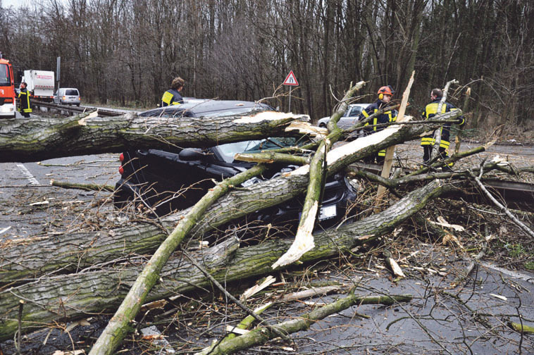 Stürmisch begann das Jahr 2012- das Tief „Ulli“ legte im Januar die B 224 komplett lahm. Mehrere Tage war die Bundesstraße in beide Richtungen gesperrt, als Folge des Sturms mussten auf Bottroper Gebiet rund 150 Pappeln gefällt werden.
