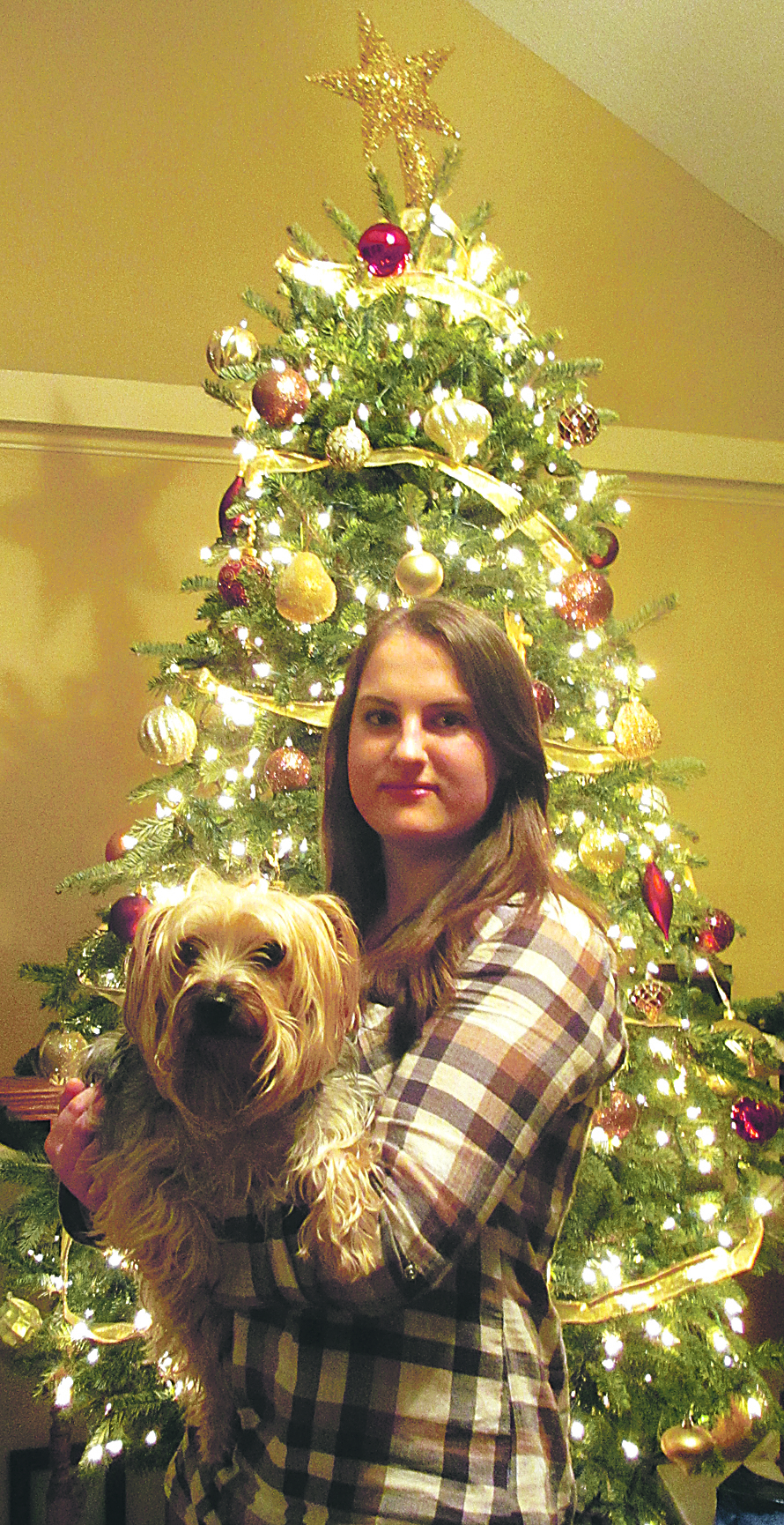Viktoria Labisch vor dem Familien-Tannenbaum in Atlanta/Georgia mit Silky Terrier „Gizmo“. alle Fotos: privat