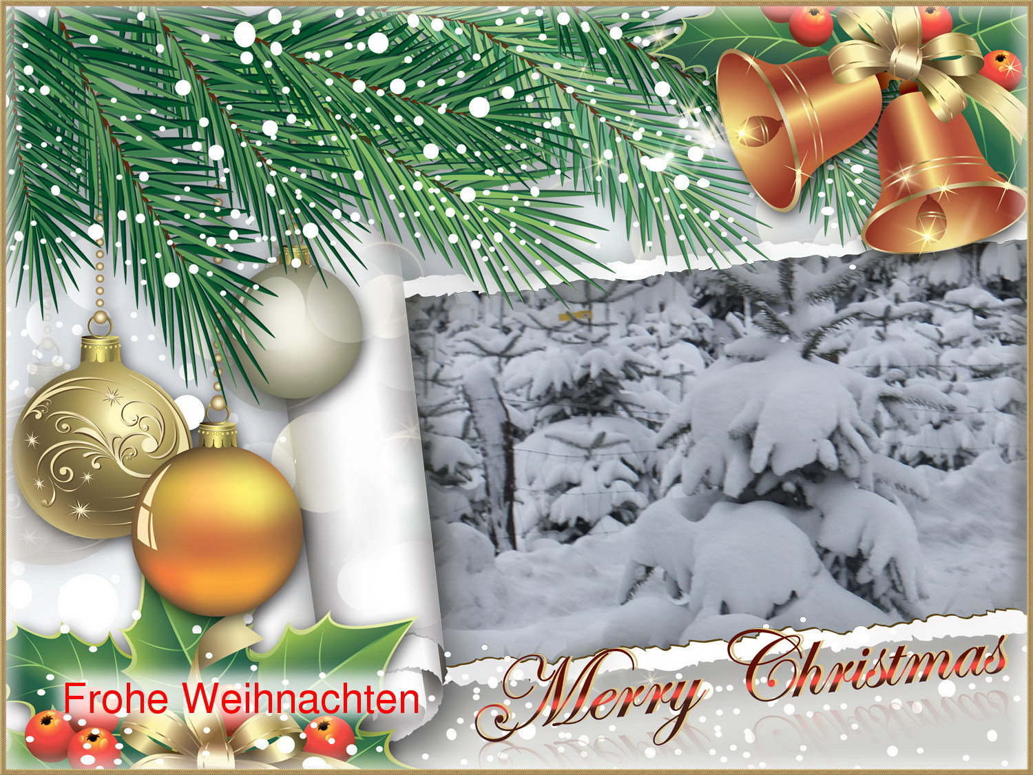 Weihnachten 2012, leider kein Schnee , wie auf dem Bild vom 9.Dezember