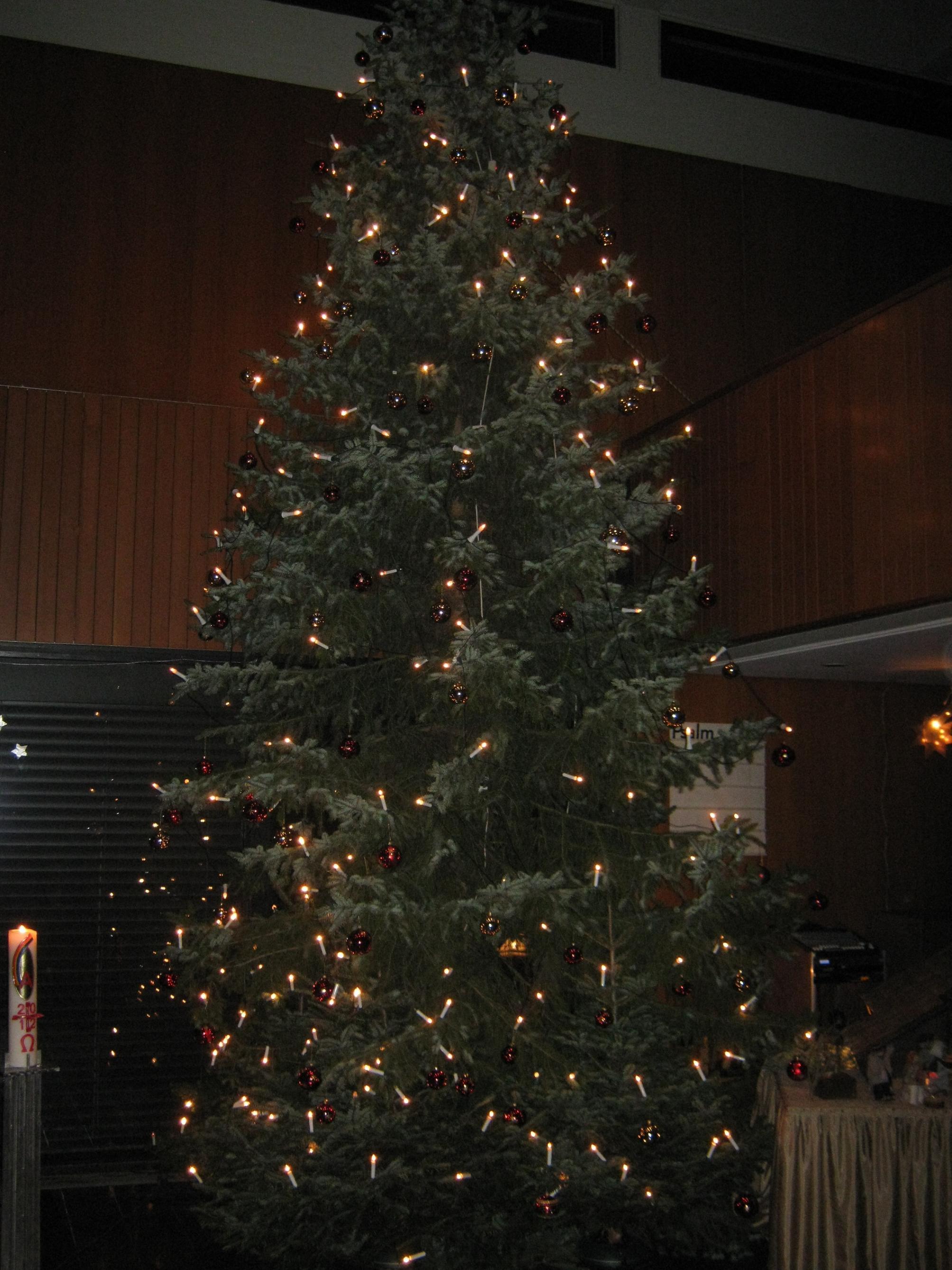 Ein Christbaum...groß und mächtig ... in einer Kirche...