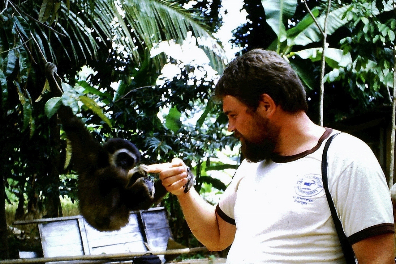 Begrüßung durch einen jungen Gibbon, vor der Fahrt zum Chini Lake in Penang (Malaysia).