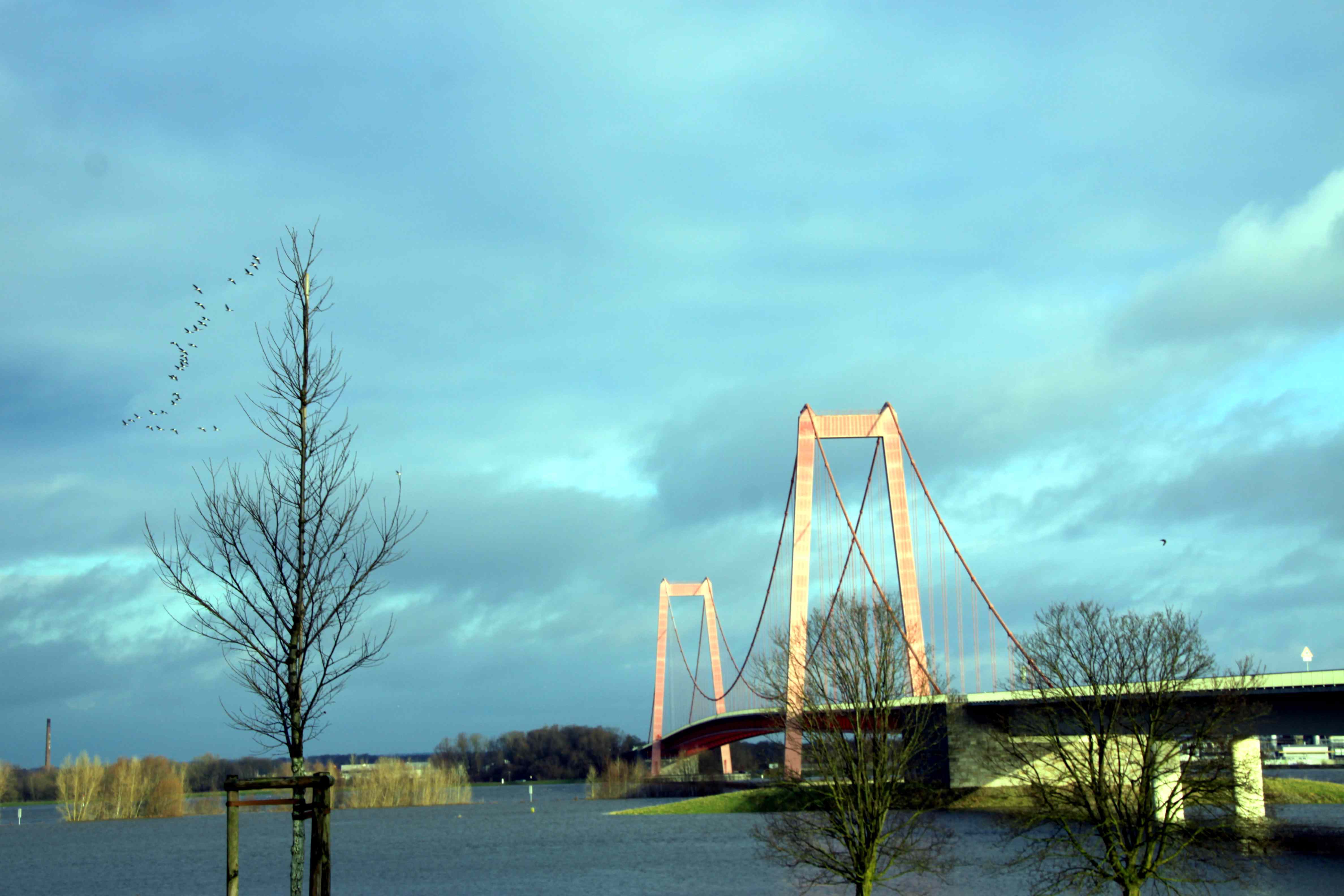 Rheinbrücke bei Emmerich