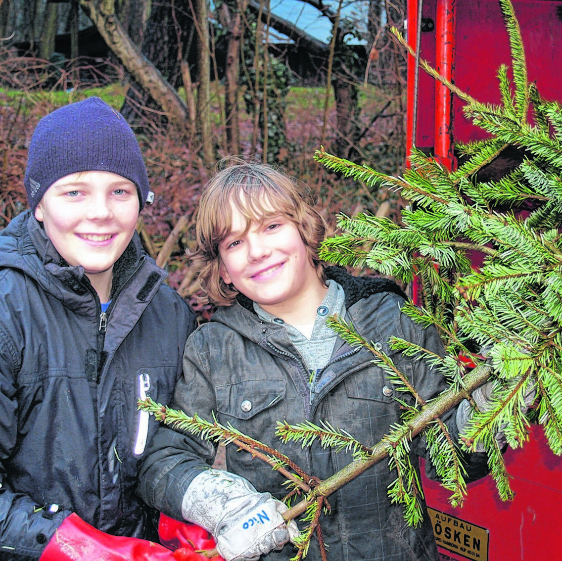 Nico und Jan sind auch diesmal wieder dabei, wenn die Pfadfinder die ausgedienten Weihnachtsbäume abholen.