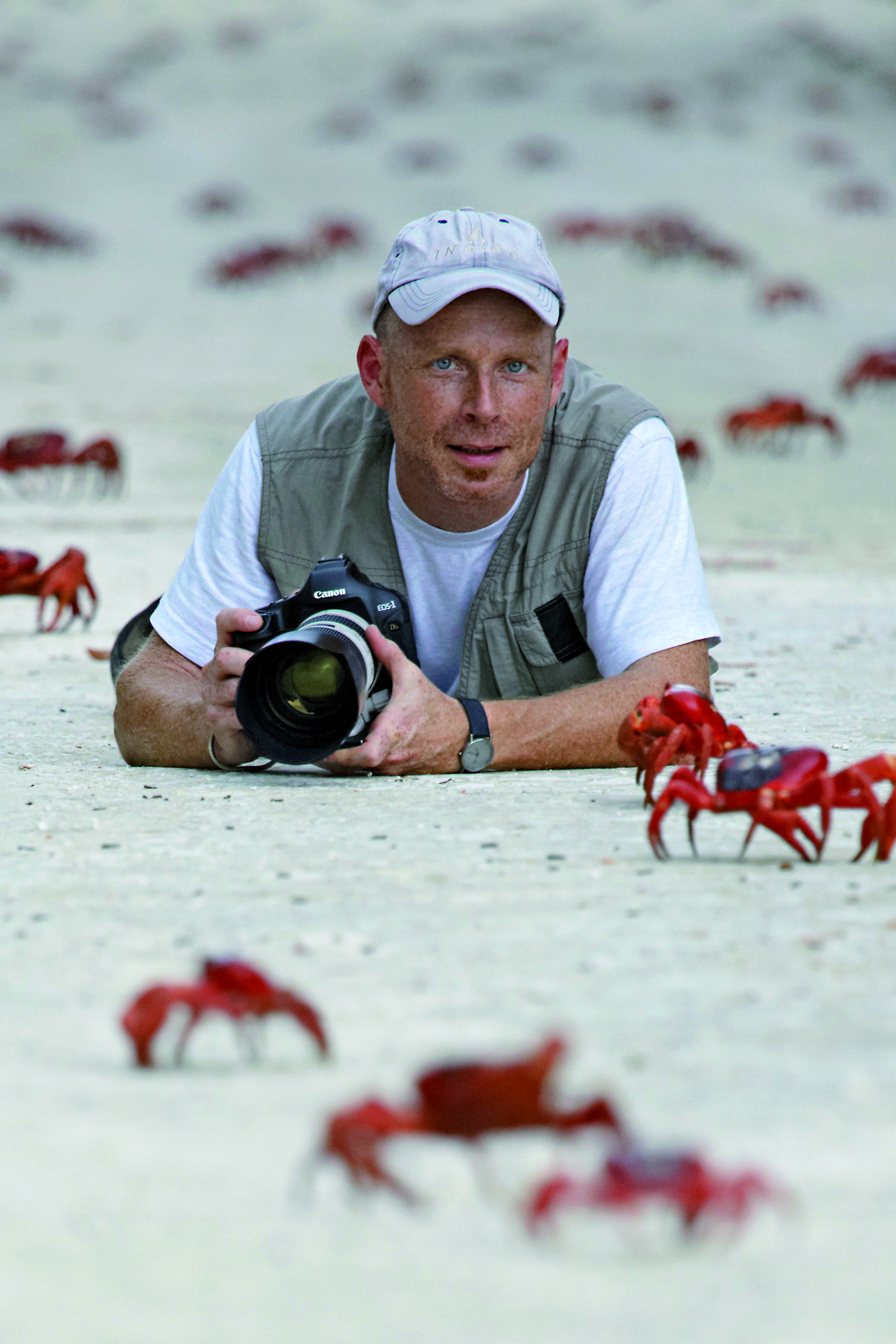 Tier- und Naturfotograf Ingo Arndt „bei der Arbeit“.