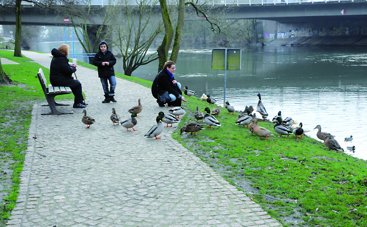 Diese Idylle an der Brehminsel am Ufer der Ruhr wünschen sich die Lokalpolitiker über alle Parteigrenzen hinweg zurück.
