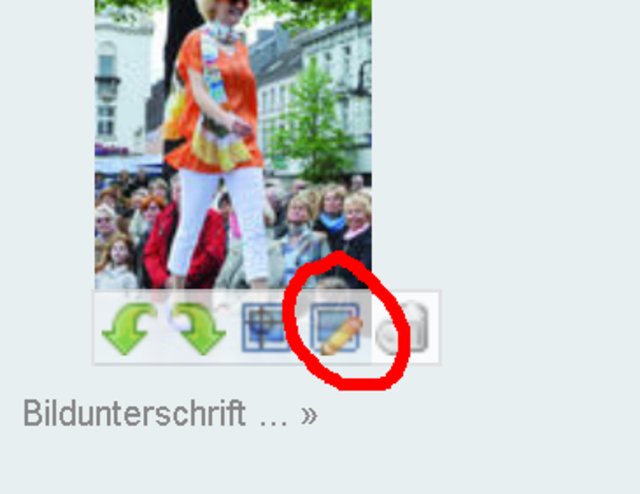 Um Bilder zu beschriften, klickt man auf das Bleistift-Symbol, denn dann geht ein neues Fenster auf...