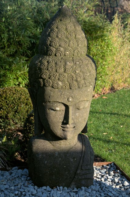 Verträumt und die Sonne genießend.