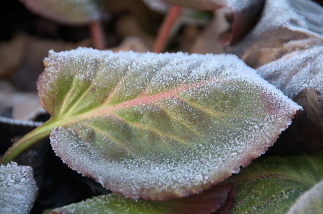 Trotz Sonne noch leicht vereist