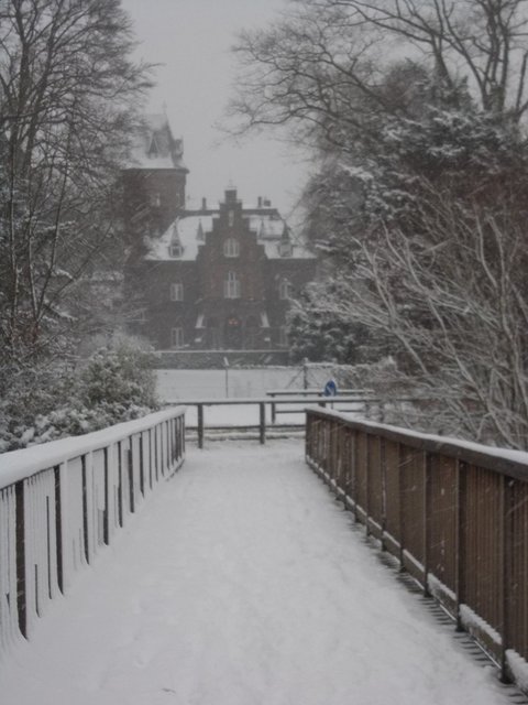 Ein Blick auf die Marienburg