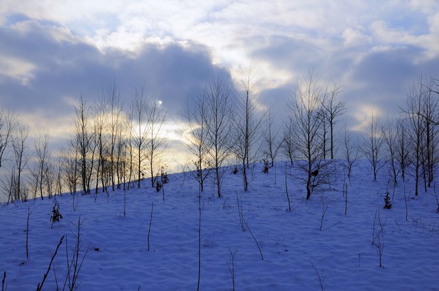 Hier wird nicht geräumt: Schnee im „Park der fünf Hügel“ im Krupp-Park.