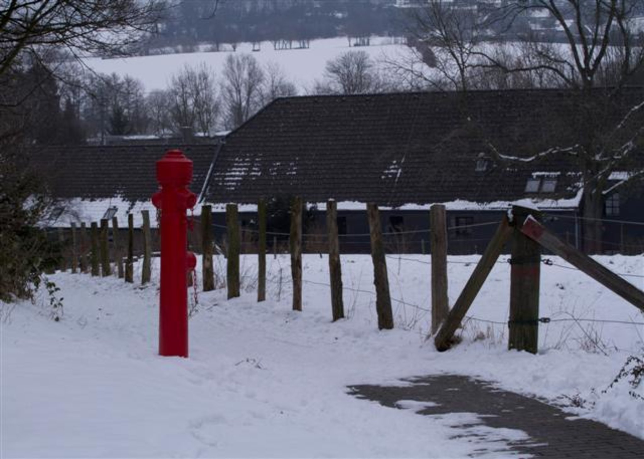 Winterlicher Spaziergang um den Abtskücher Teich Heiligenhaus