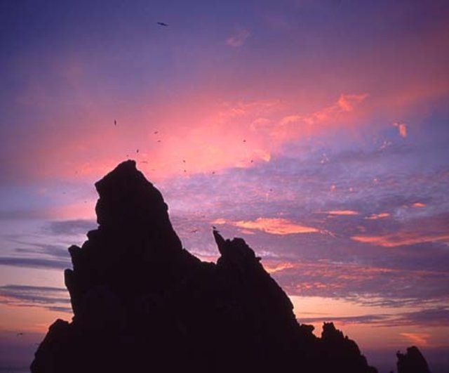 Island – Wildnis Europas - Magische Landschaften
Fotoreise für Natur- und Landschaftsfotografen