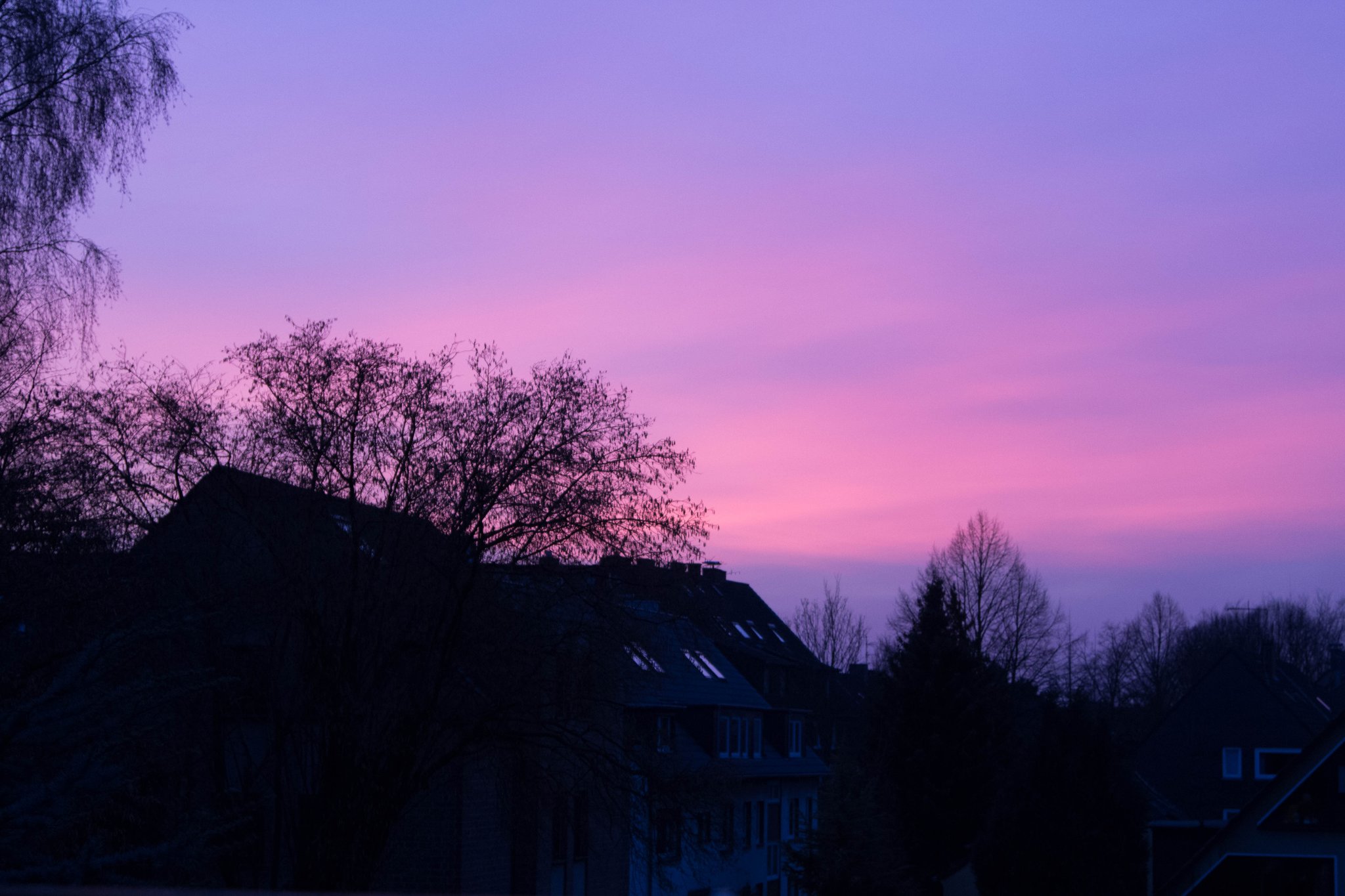 wir bleiben wach bis die wolken wieder lila sind
